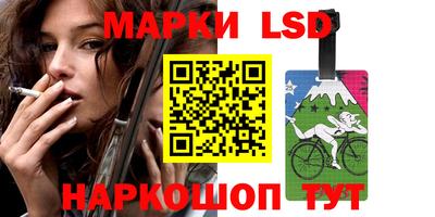 индика Долгопрудный