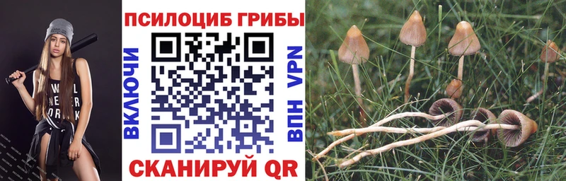 Галлюциногенные грибы MAGIC MUSHROOMS  нарко площадка состав  Брянск 