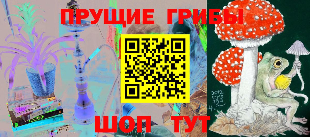 Галлюциногенные грибы Cubensis  Псилоцибиновые грибы мицелий  Вход с VPN  Брянск 